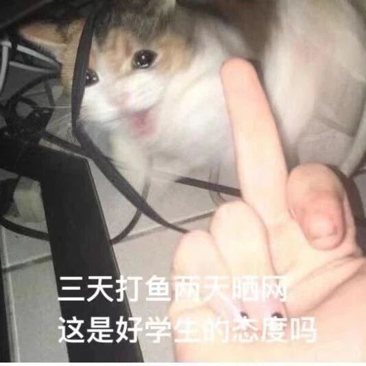 腻害的人都是狠人