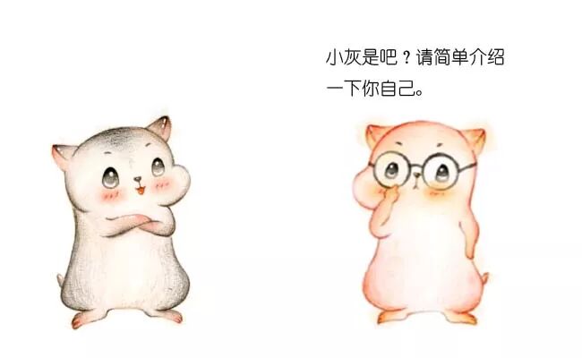 文章配图
