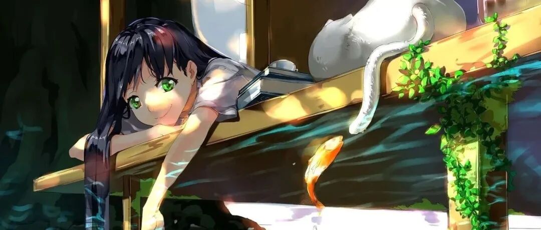 文章配图